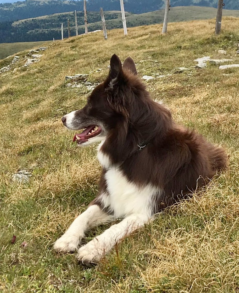 22614af7-3685-41b8-ac70-edb75245c4bf