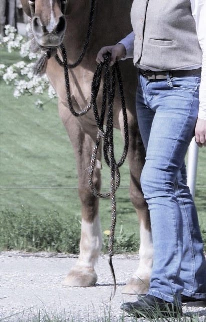 faith-woody-me-kopie-2