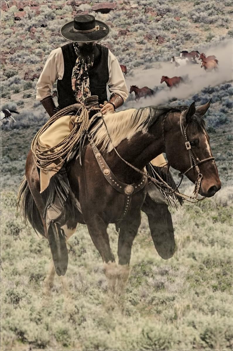 glen20shelley20is20selling20his20big20paint20horse20at20thi-x3