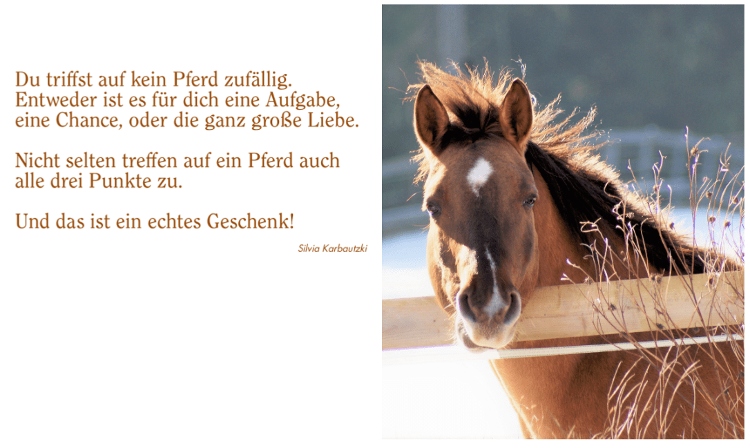 woody-dez-kalenderblatt